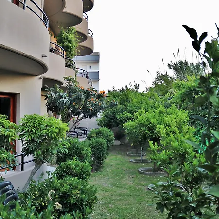 존 마리 4* 팔리라키