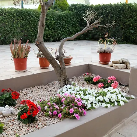 존 마리 아파트호텔 팔리라키